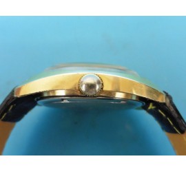 BWC-Swiss herenhorloge