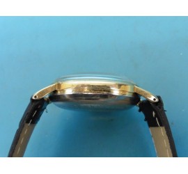 Roamer herenhorloge