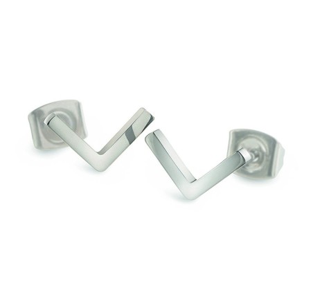 Boccia titanium oorknoppen