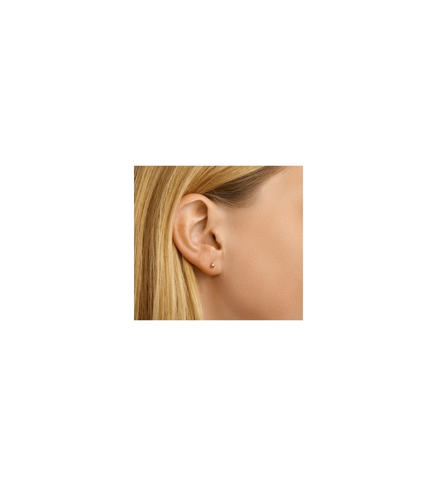 Gouden oorknopjes bolletje 2-6 mm
