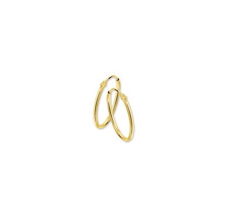 Gouden creolen 11-17 mm