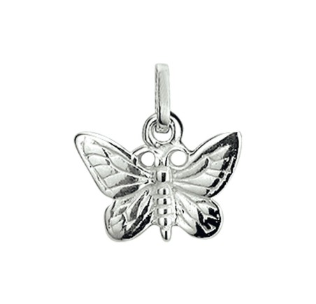 Zilveren hanger vlinder
