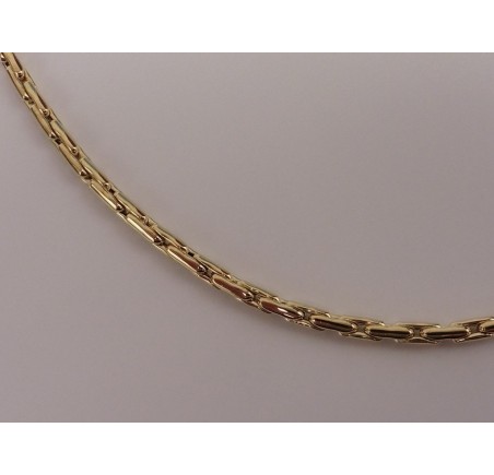 Gouden collier fantasie