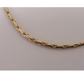 Gouden collier fantasie