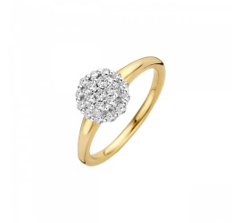 Gouden Briljant damesring met briljant Vita 607030001