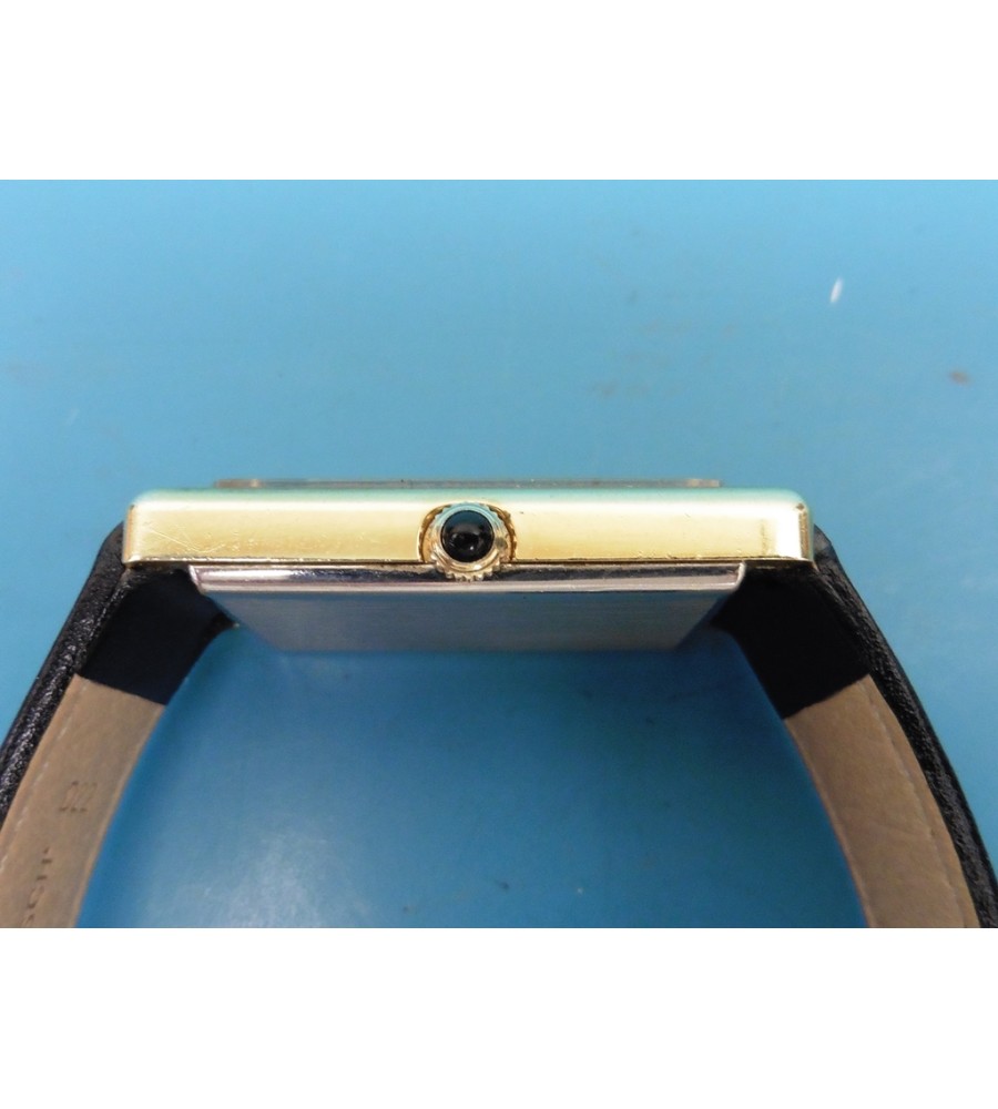 Eterna Vision herenhorloge