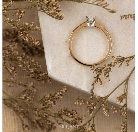 Gouden Briljant damesring 607010061