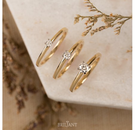 Gouden Briljant damesring 607010060