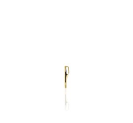 Gouden hanger met zirkonia