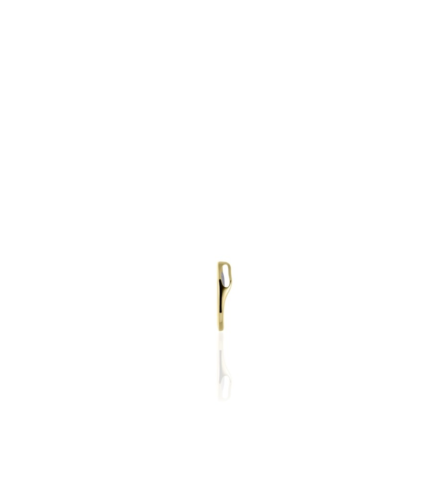 Gouden hanger met zirkonia