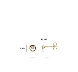 Gouden oorknopjes met zirkonia VGE020