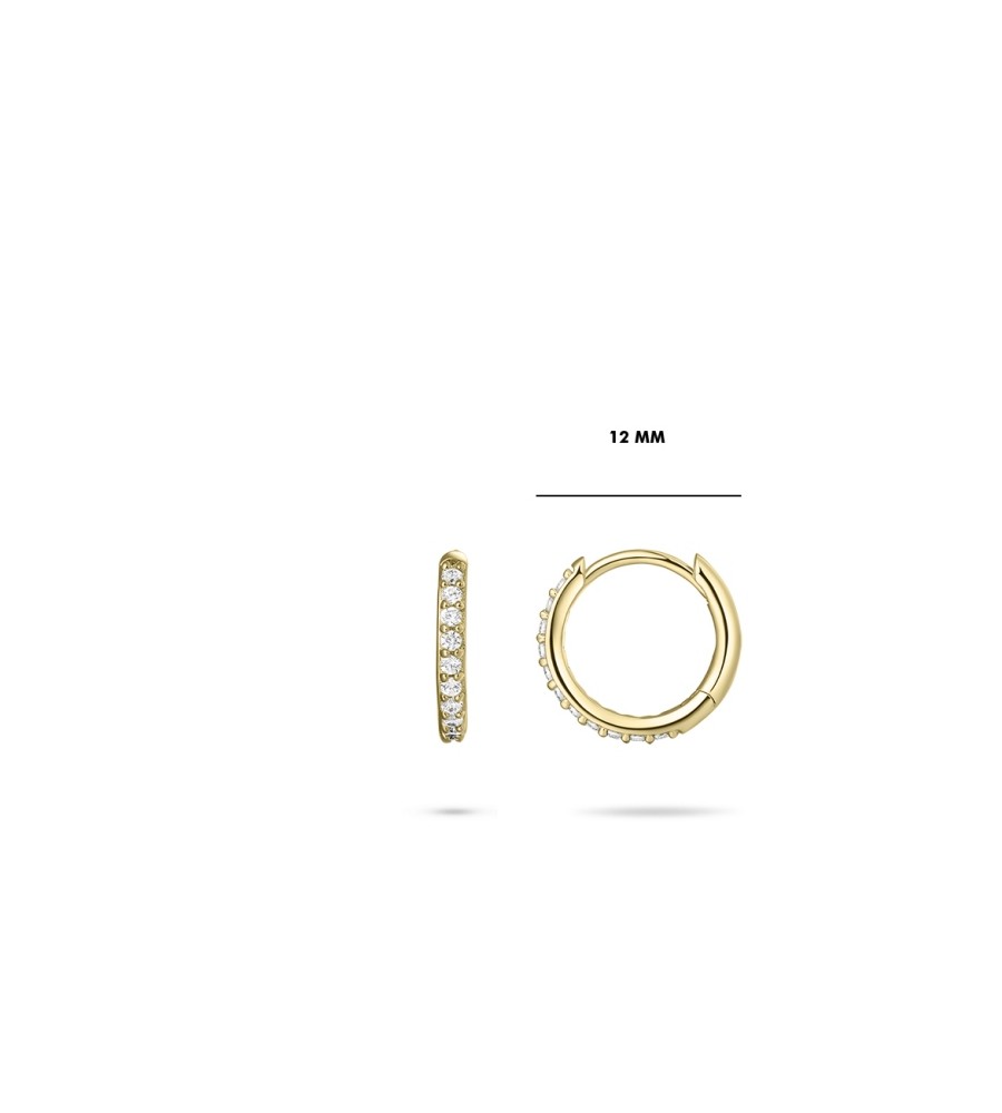 Gouden klapcreolen met zirkonia 10-30 mm