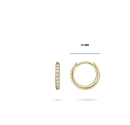 Gouden klapcreolen met zirkonia 10-30 mm