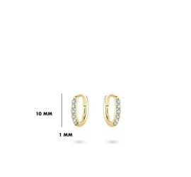 Gouden klapcreolen met zirkonia 10-30 mm