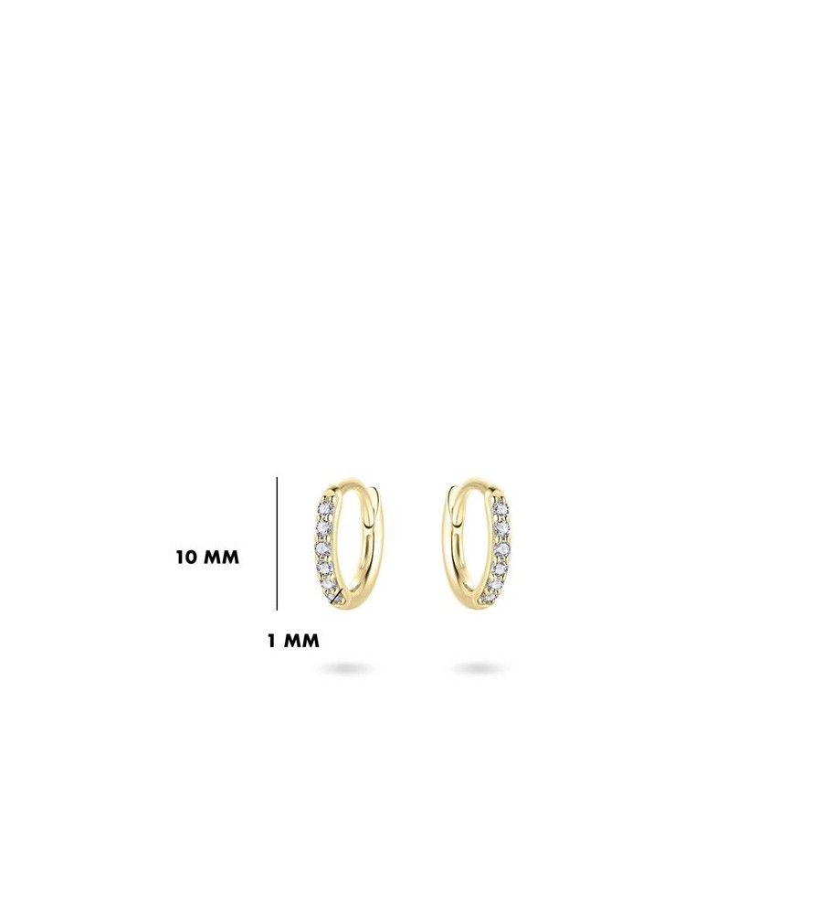 Gouden klapcreolen met zirkonia 10-30 mm