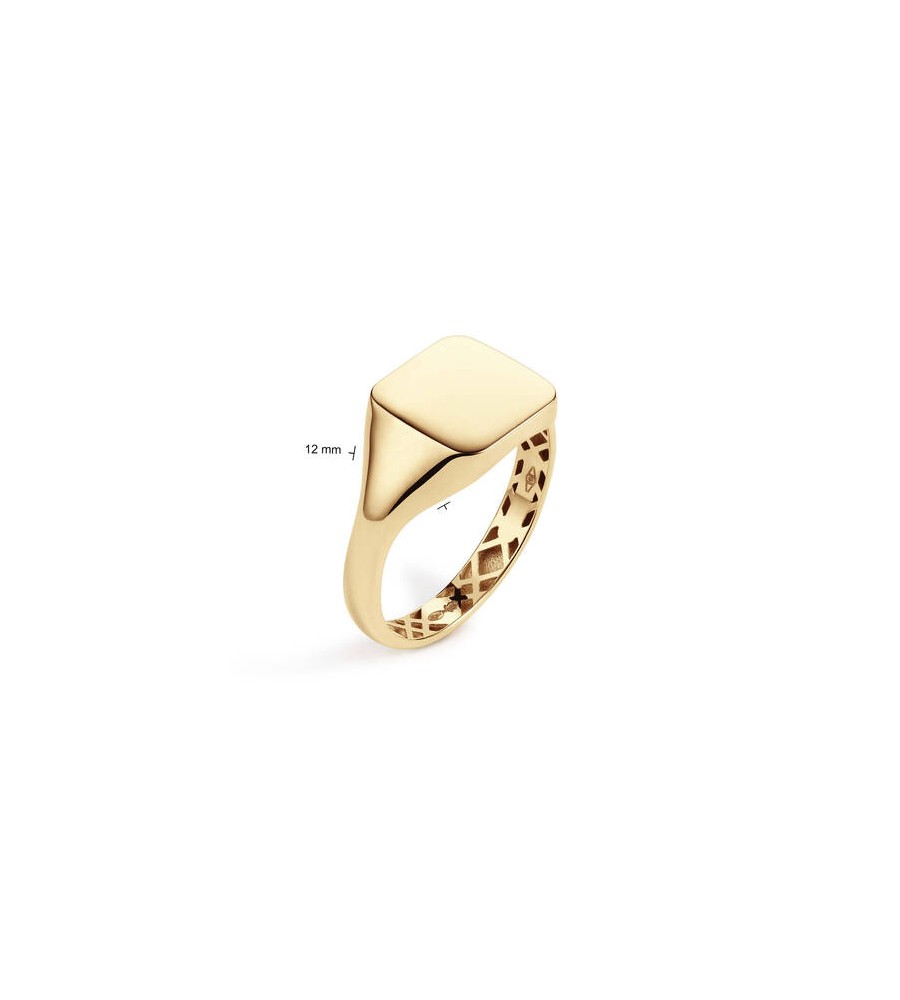Gouden herenring monogram stomphoek