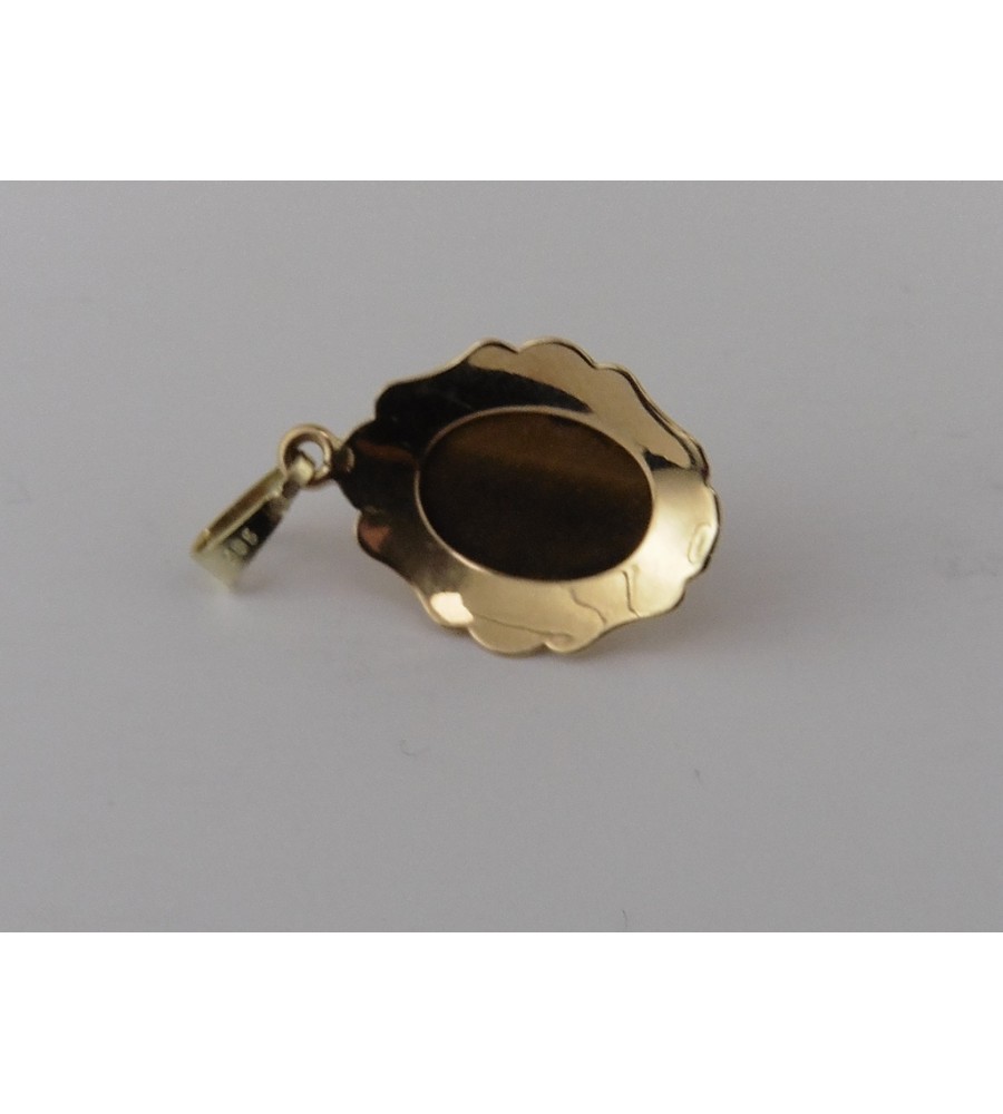 Gouden hanger met tijgeroog