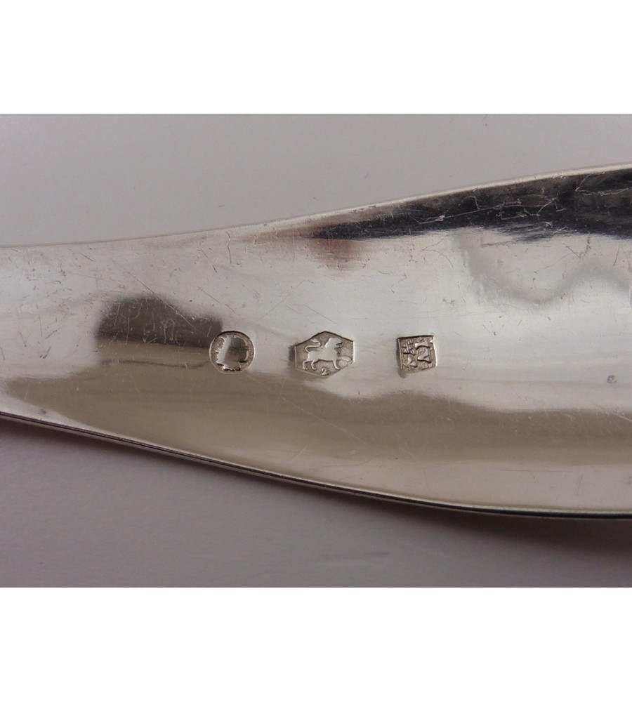 Zilveren strooilepel