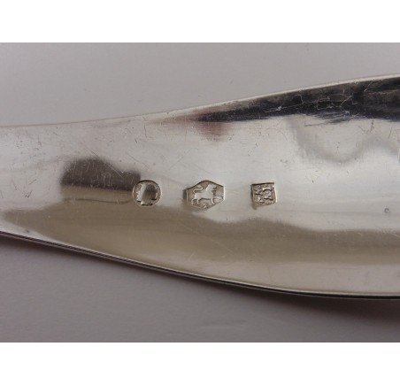 Zilveren strooilepel