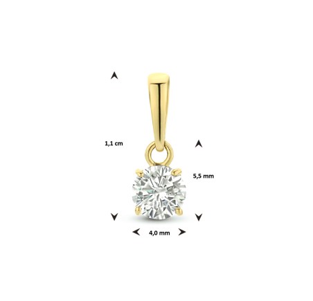 Gouden hanger solitair met zirkonia 40.24390