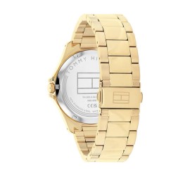 Tommy Hilfiger herenhorloge Model: Bruce, TH1710679