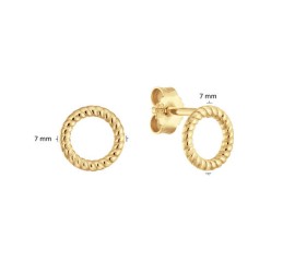 Gouden oorknopjes 206.0797.00