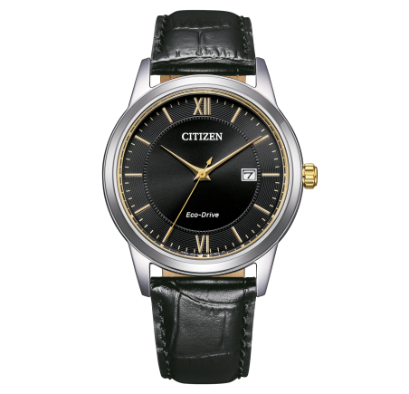 Citizen herenhorloge AW1784-16E