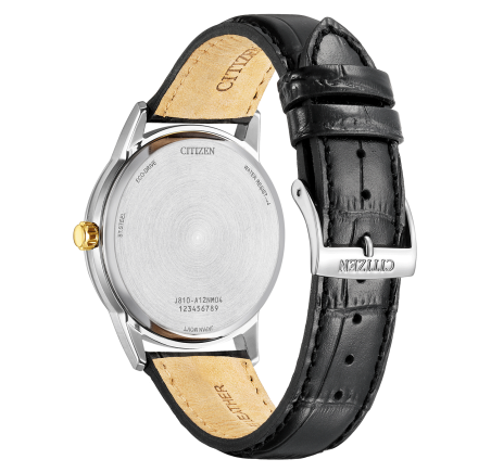 Citizen herenhorloge AW1784-16E