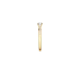 Gouden fantasie ring met zirkonia 214.1031