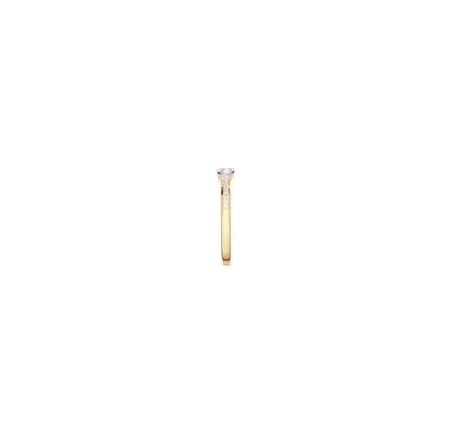 Gouden fantasie ring met zirkonia 214.1031
