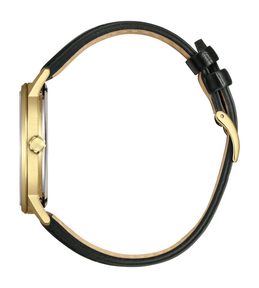 Citizen herenhorloge
