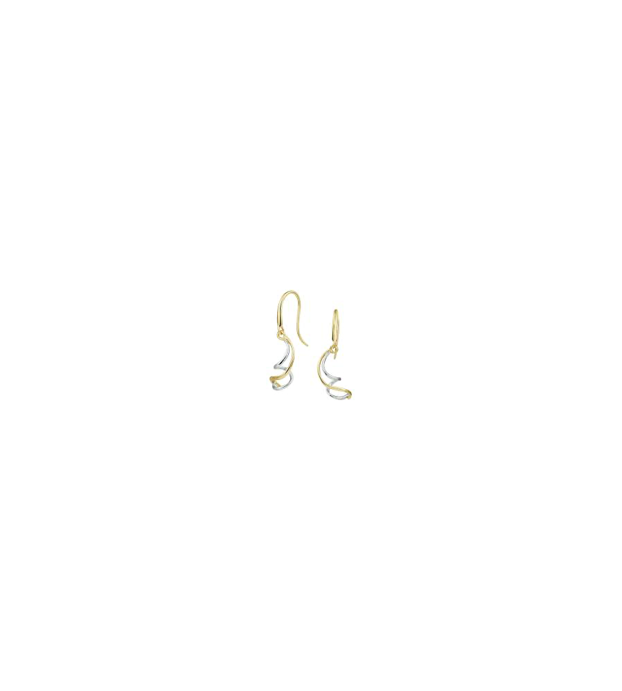 Gouden oorhangers bicolor 42.08264