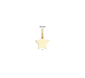 Gouden hanger ster 242.0050.15