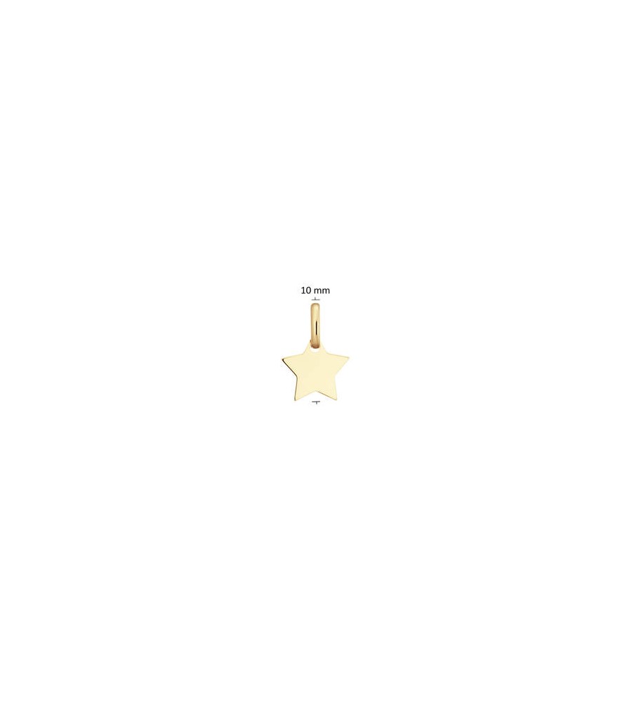 Gouden hanger ster