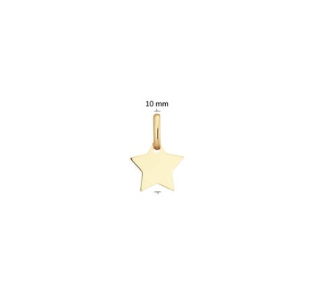 Gouden hanger ster 242.0050.15