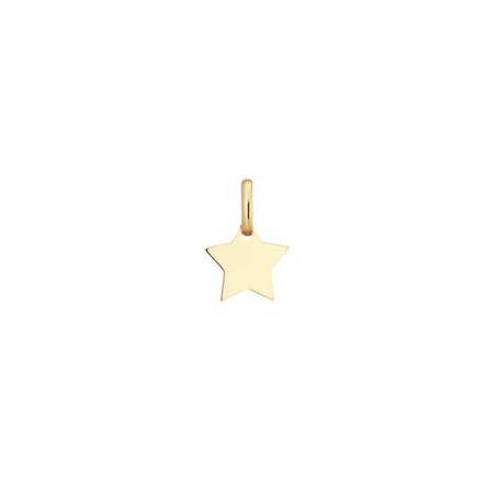 Gouden hanger ster 242.0050.15
