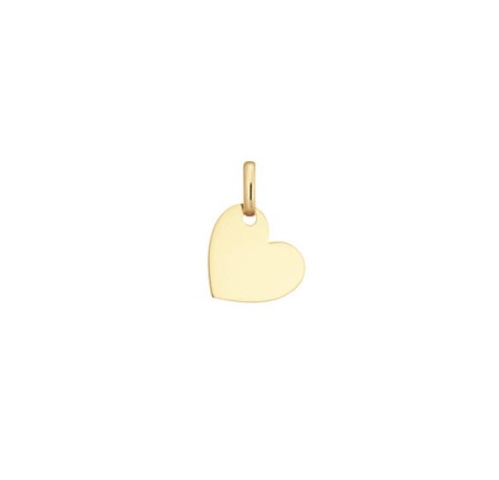 Gouden hanger hart 242.0053.10