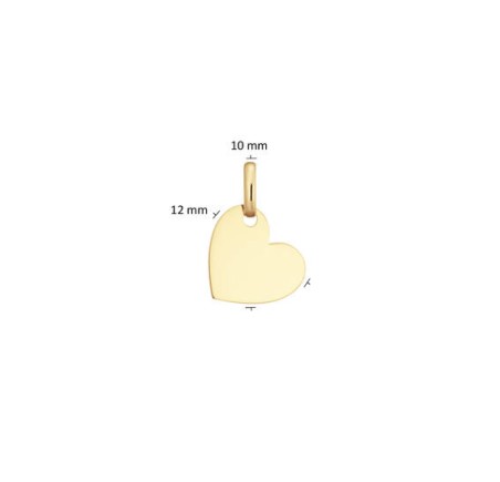 Gouden hanger hart 242.0053.10
