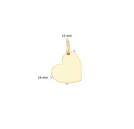 Gouden hanger hart 242.0053.13