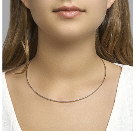 Zilveren collier omega rond