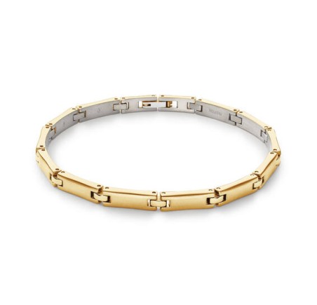 Boccia titanium armband verguld 03067-03