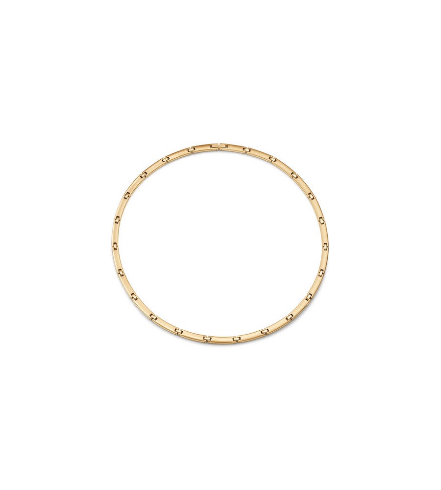 Boccia titanium collier verguld