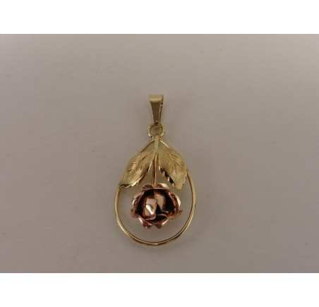 Gouden Teka hanger roosje Theodore Klotz
