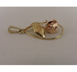 Gouden Teka hanger roosje Theodore Klotz