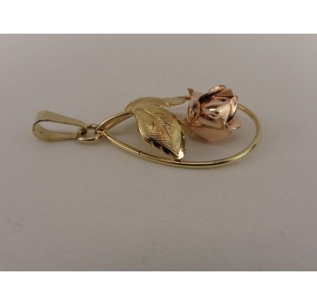 Gouden Teka hanger roosje Theodore Klotz