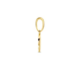 Gouden hanger rondje gediamanteerd