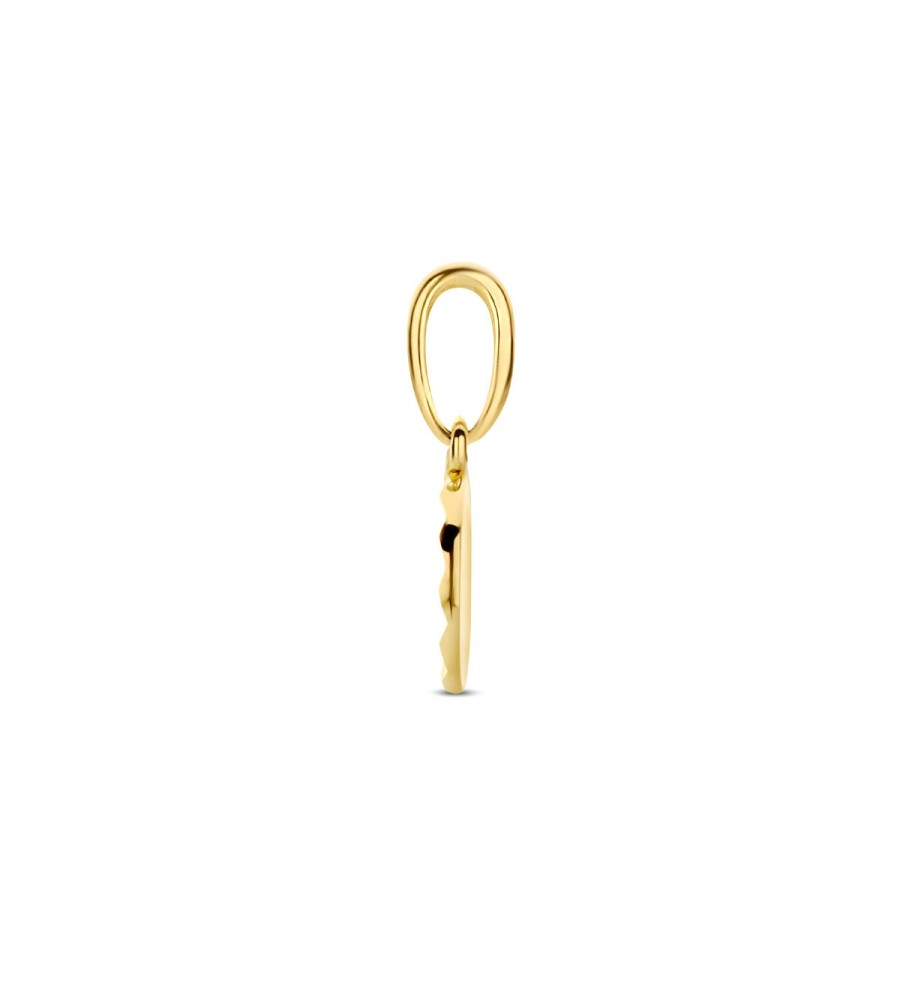 Gouden hanger rondje gediamanteerd