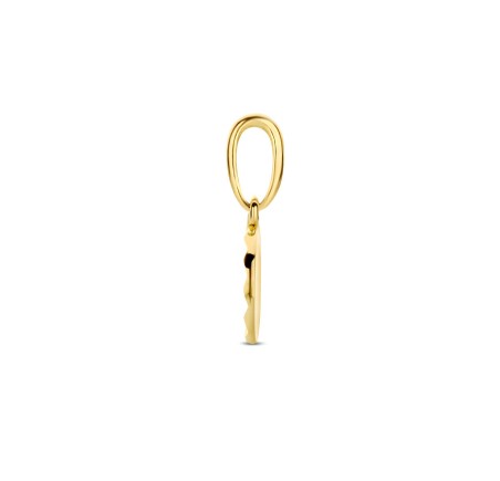Gouden hanger rondje gediamanteerd