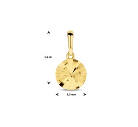 Gouden hanger rondje gediamanteerd