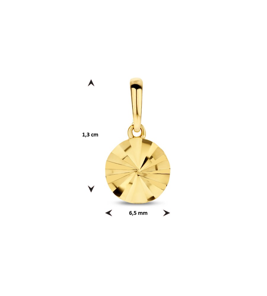 Gouden hanger rondje gediamanteerd